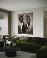 Craig - The living Legend