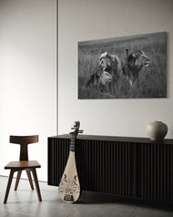 Wild blood, Sacred Bond