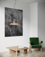 Luluka - The celebrity Leopardess of Masai Mara