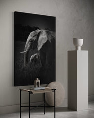 In Her Shadow – A Portrait of Protection