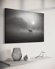 An Allure of Mid December