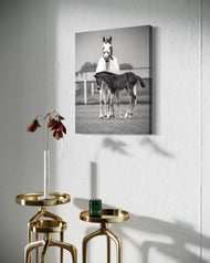 Unwavering Composure