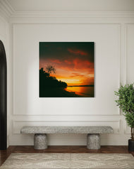 Riot of colours - Havelock Island