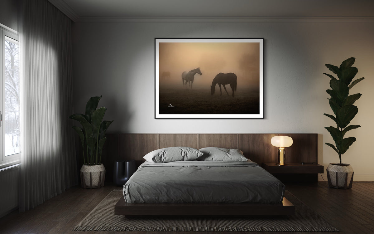 Media image 1