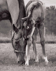 Mom! You’re My World