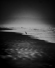 Solitude by the Sea