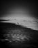 Solitude by the Sea