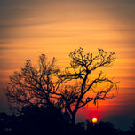 Sanctuary at Sunset