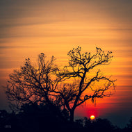 Sanctuary at Sunset