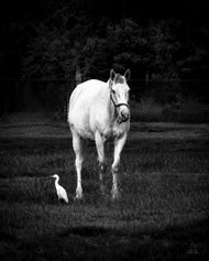 Effortless Grace