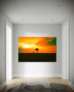 Beneath the Burning Sky