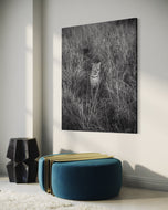 Luluka - The celebrity Leopardess
