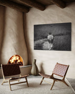 Lorkulup - The Legendary Lion of Masai Mara