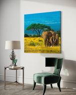 Grace in Herd