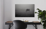 Grazing in Silence