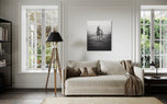 Graceful Grey