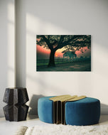 Soothing Tranquility
