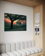 Soothing Tranquility