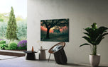 Soothing Tranquility