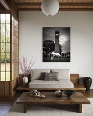 Timeless Splendour