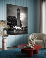 Timeless Splendour