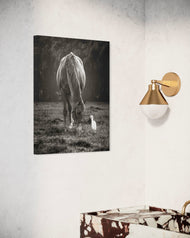 Wings and Hooves