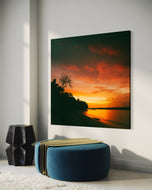 Riot of colours - Havelock Island