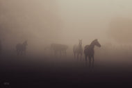 Mystic Memories