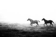 Infinite Strides