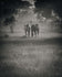 Steadfast Souls