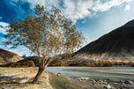 Indus – The River That Remembers