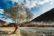 Indus – The River That Remembers