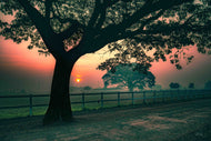 Soothing Tranquility