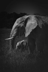 In Her Shadow – A Portrait of Protection