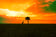 Beneath the Burning Sky