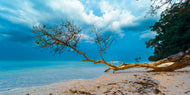 Poetic Solitude