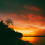 Riot of colours - Havelock Island